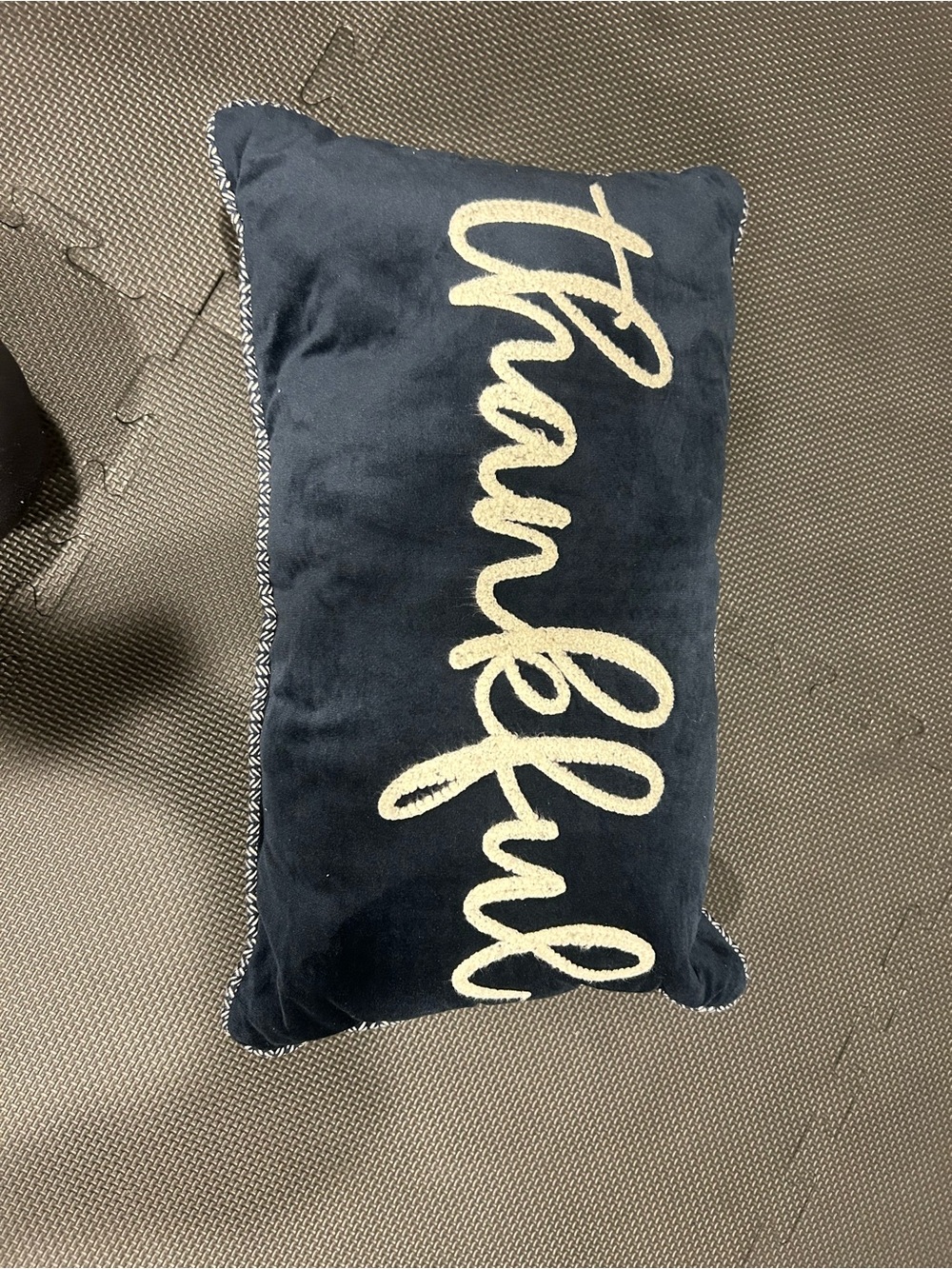 Target Navy Velvet Holiday Pillow with Gold Script